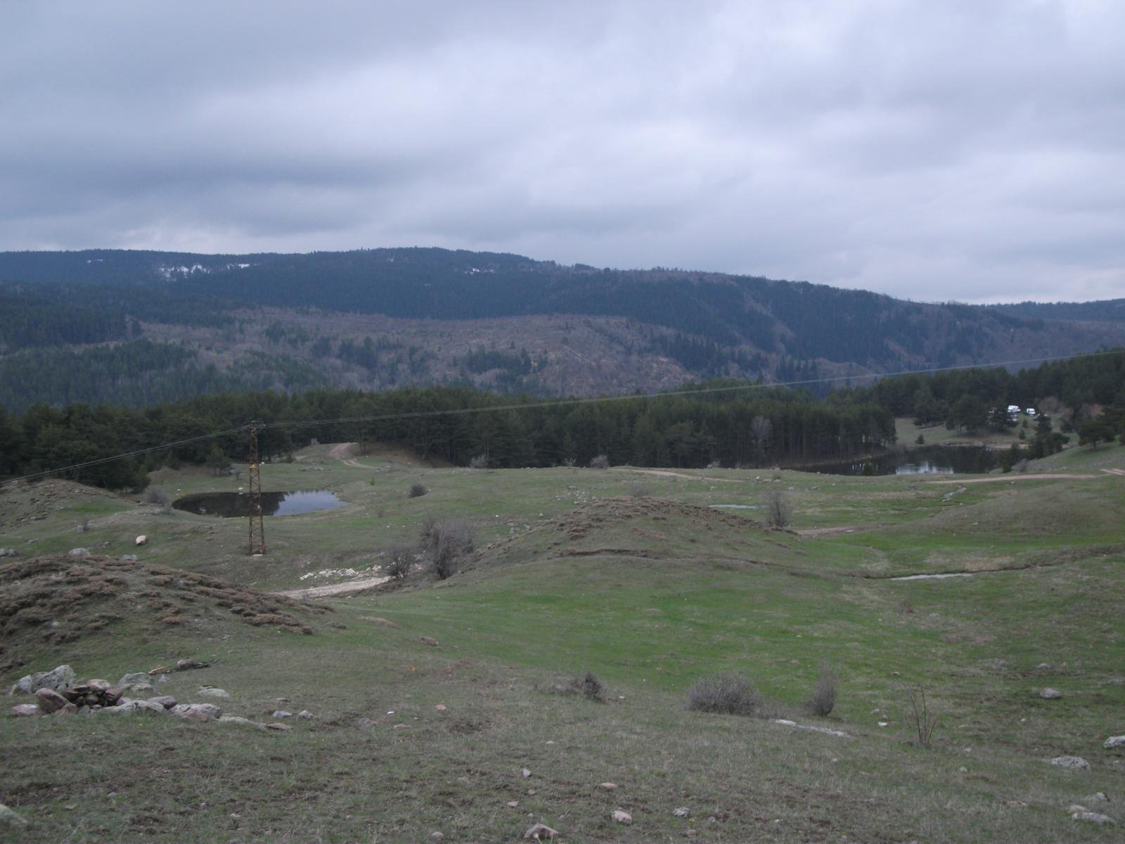 DSCF7682.jpg