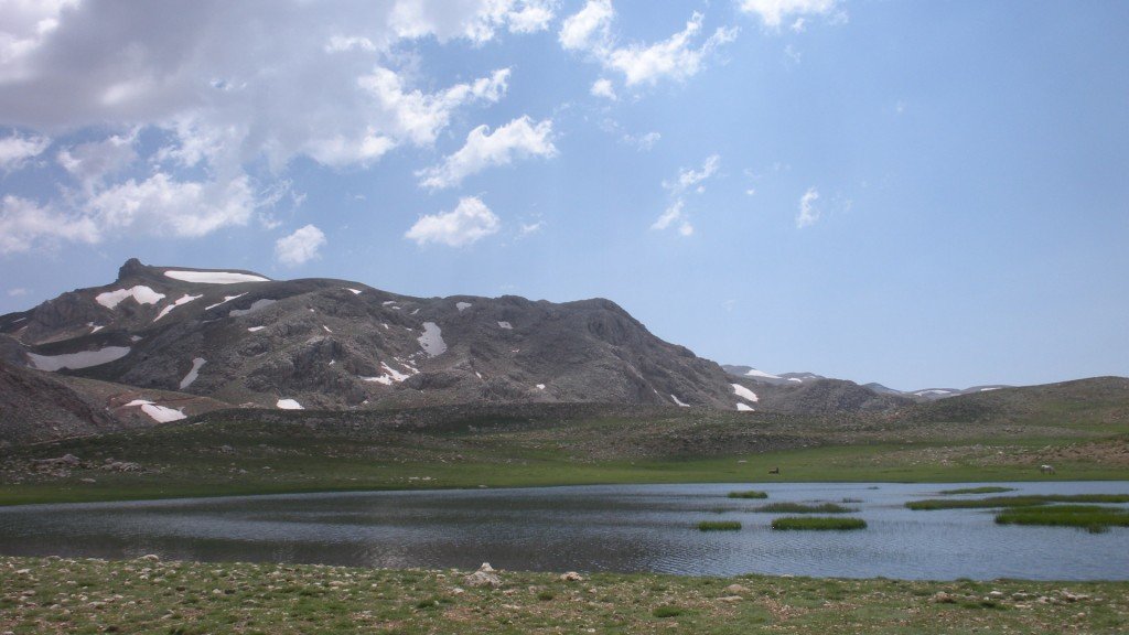 DSCN0074.JPG