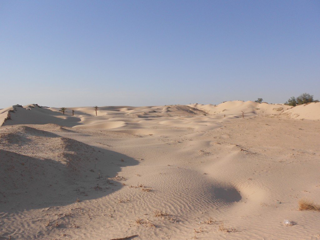 DSCN1196.JPG