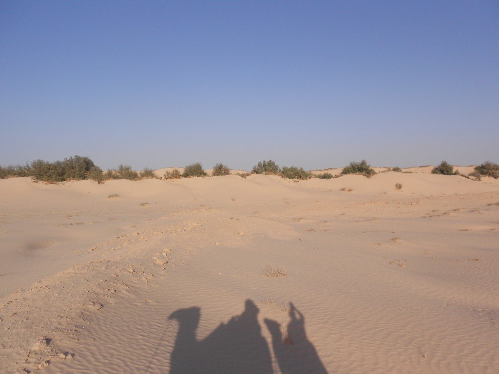 DSCN1197.JPG