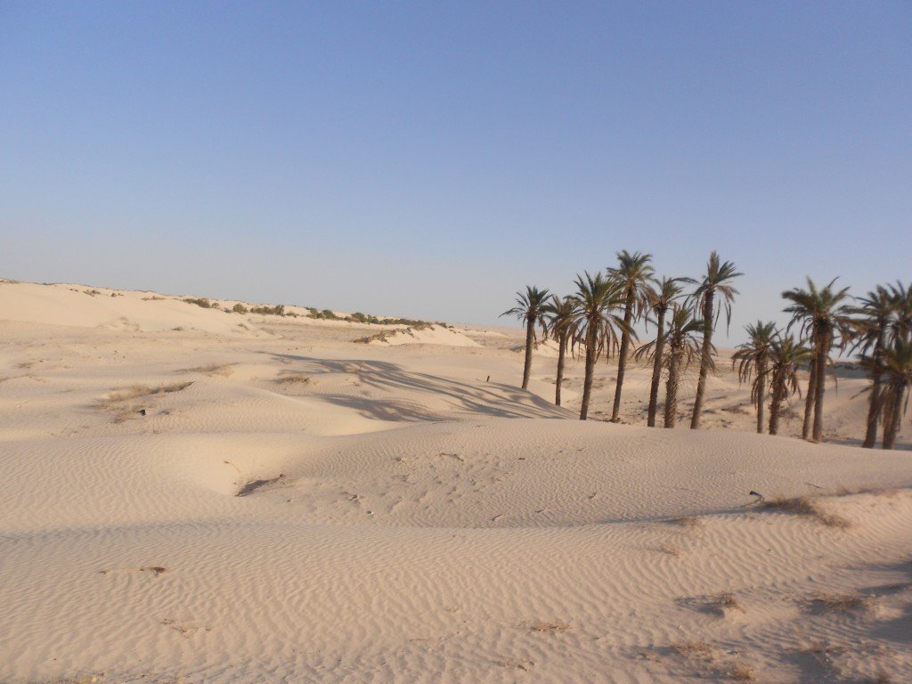DSCN1198.JPG