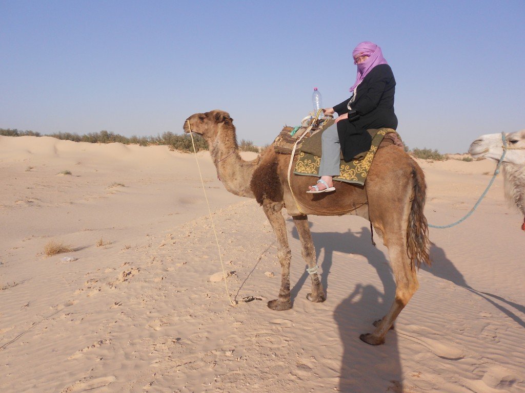 DSCN1206.JPG