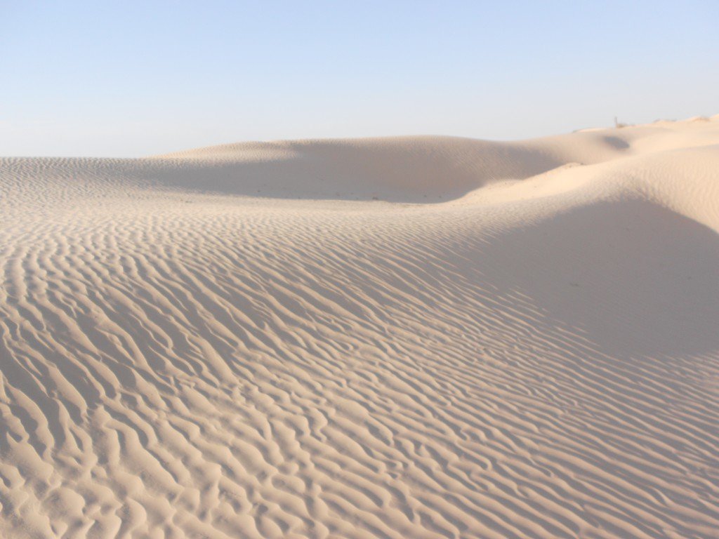 DSCN1207.JPG