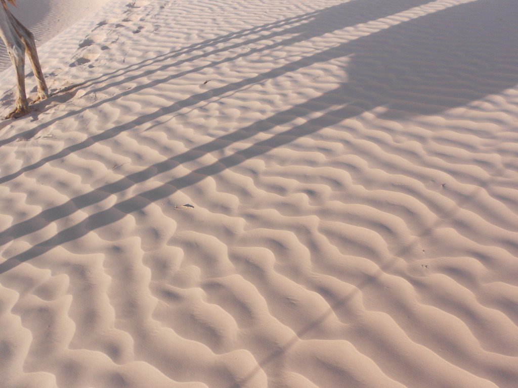 DSCN1213.JPG