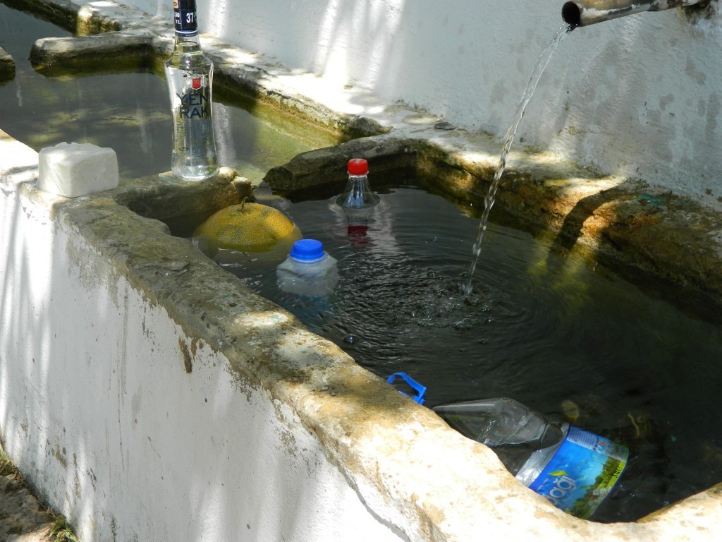 DSCN1432.JPG