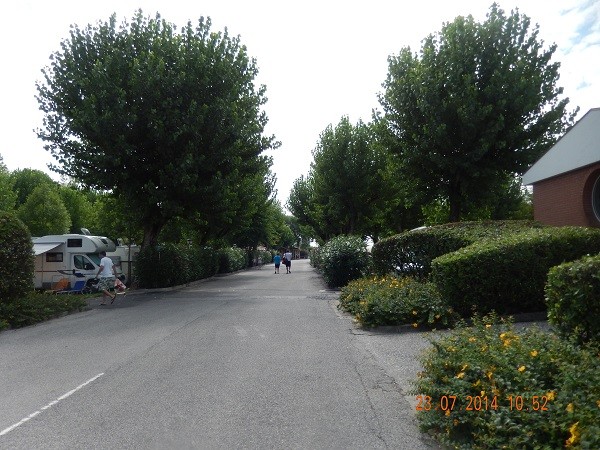 DSCN2391.jpg