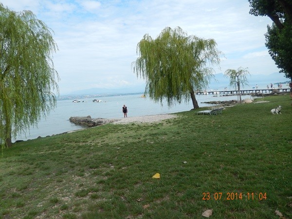 DSCN2396.jpg