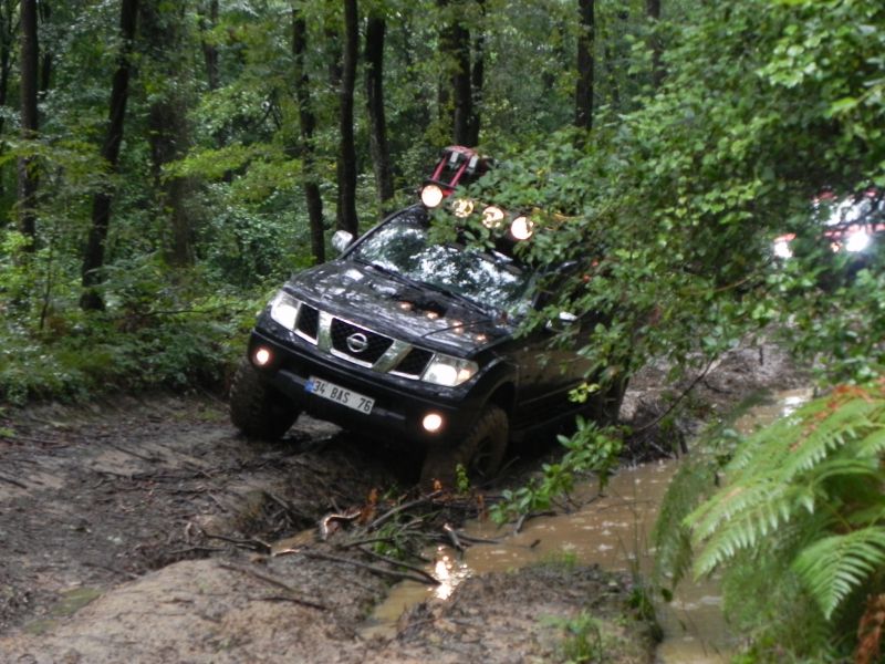 DSCN3460.jpg
