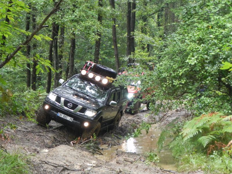 DSCN3462.jpg