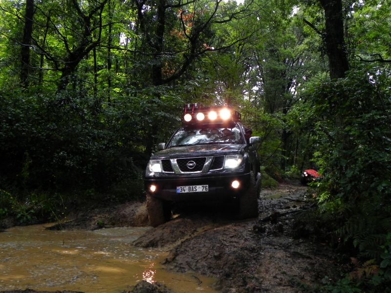 DSCN3480.jpg