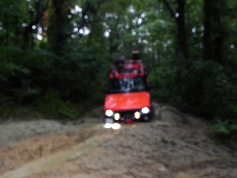 DSCN3504.jpg