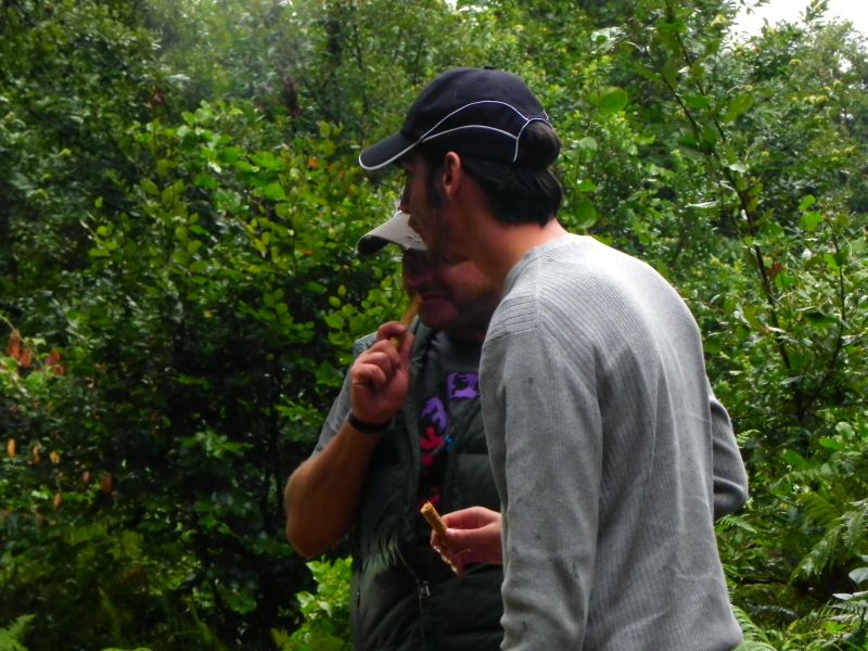 DSCN3521.jpg