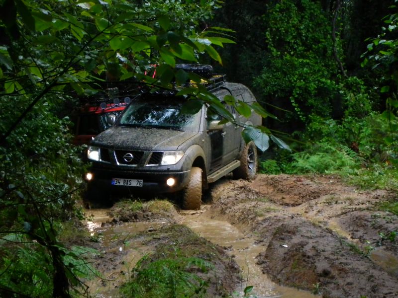 DSCN3527.jpg