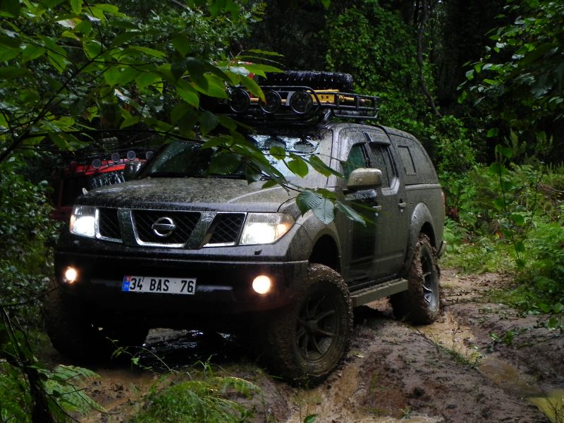 DSCN3528.jpg