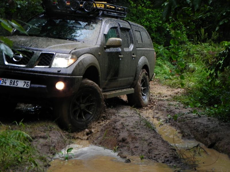 DSCN3530.jpg