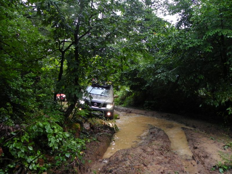 DSCN3532.jpg