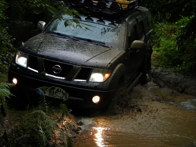 DSCN3534.jpg