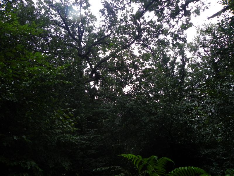 DSCN3537.jpg