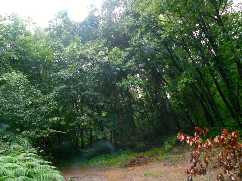 DSCN3538.jpg