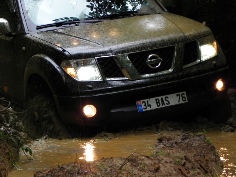 DSCN3550.jpg