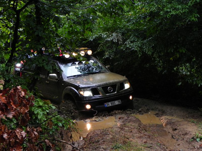 DSCN3553.jpg