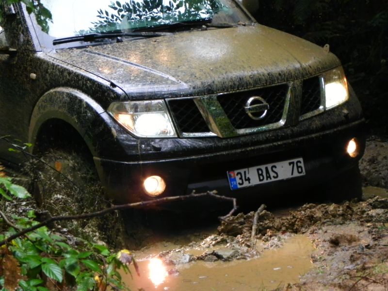 DSCN3554.jpg