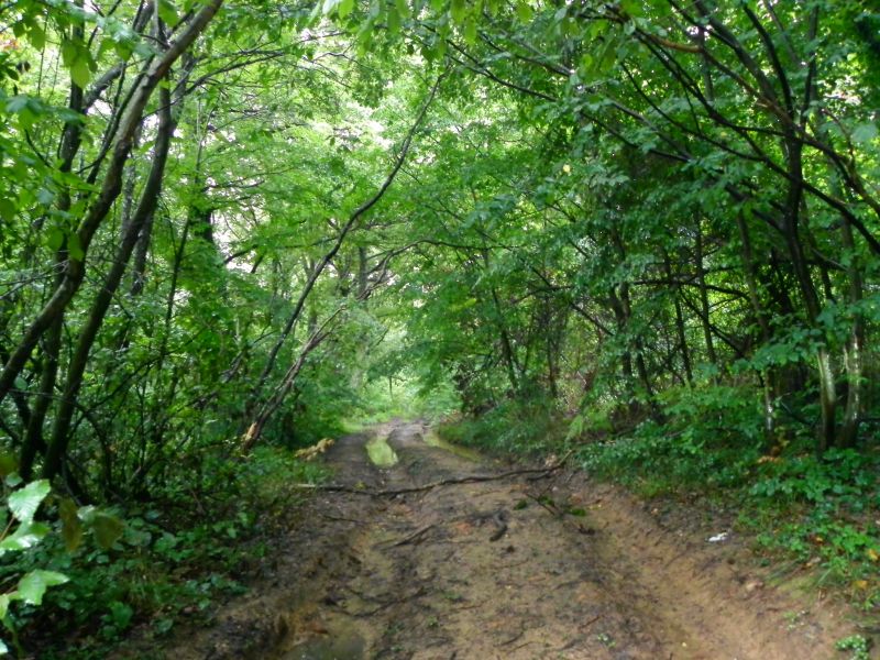 DSCN3602.jpg