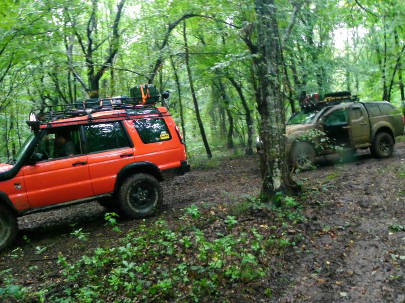 DSCN3647.jpg