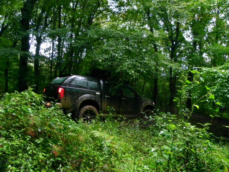 DSCN3653.jpg
