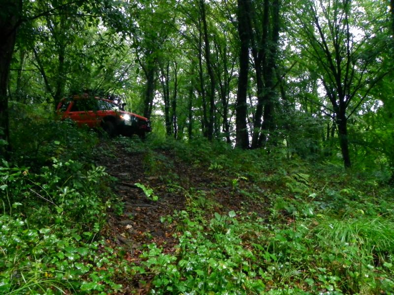 DSCN3655.jpg