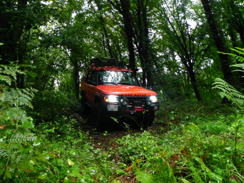 DSCN3658.jpg