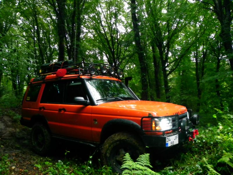 DSCN3663.jpg