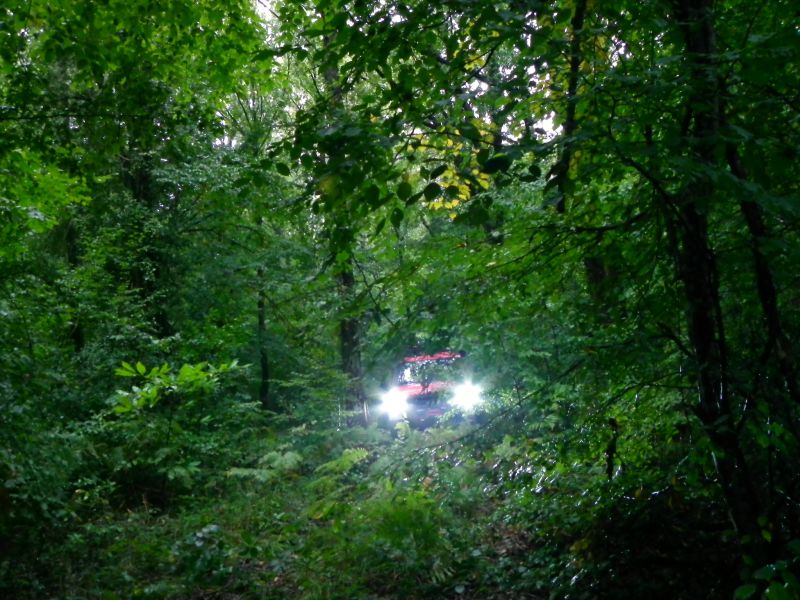 DSCN3667.jpg