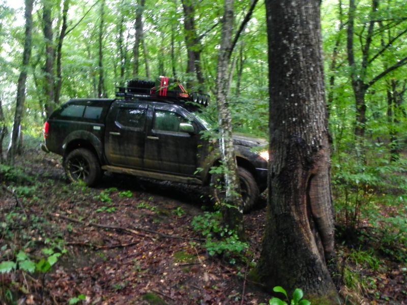 DSCN3675.jpg
