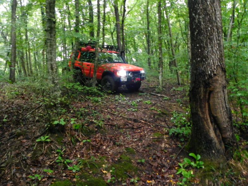 DSCN3678.jpg