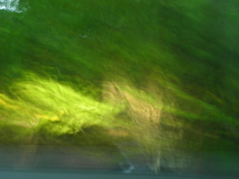 DSCN3703.jpg