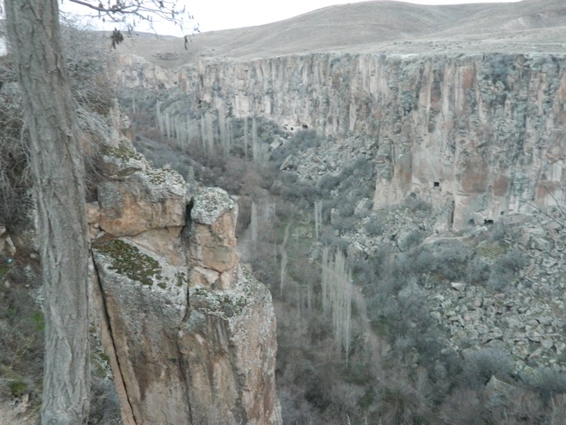 DSCN3910.JPG