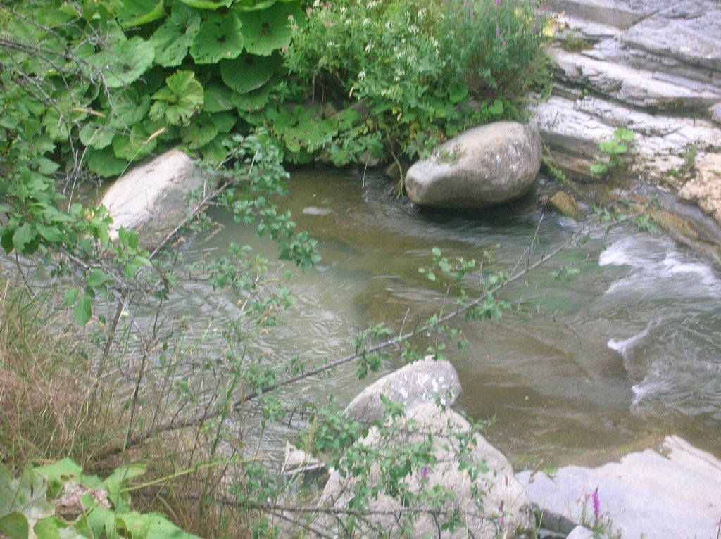 DSCN3970.jpg