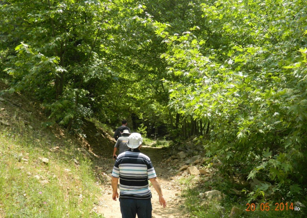 DSCN4030.JPG