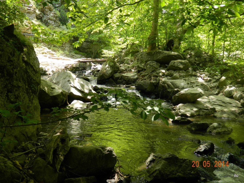 DSCN4034.JPG
