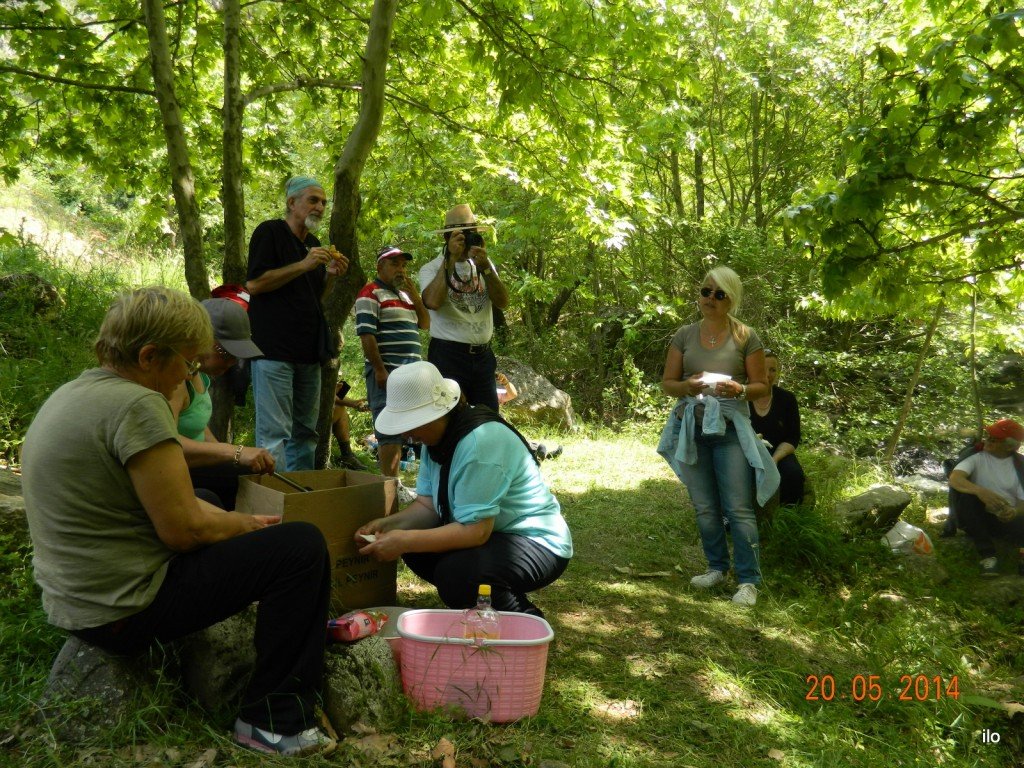 DSCN4056.JPG