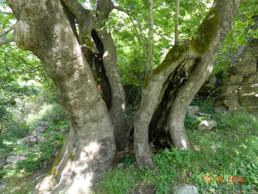 DSCN4057.JPG