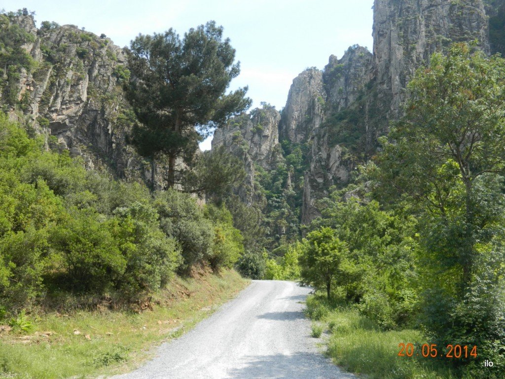 DSCN4062.JPG