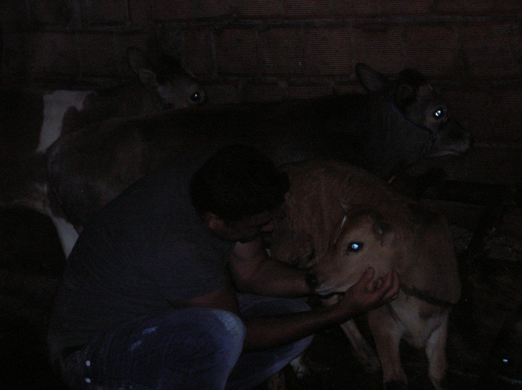 DSCN4073.jpg