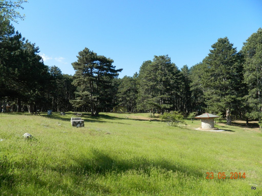 DSCN4176.JPG