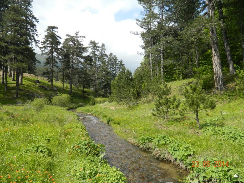 DSCN4207.JPG