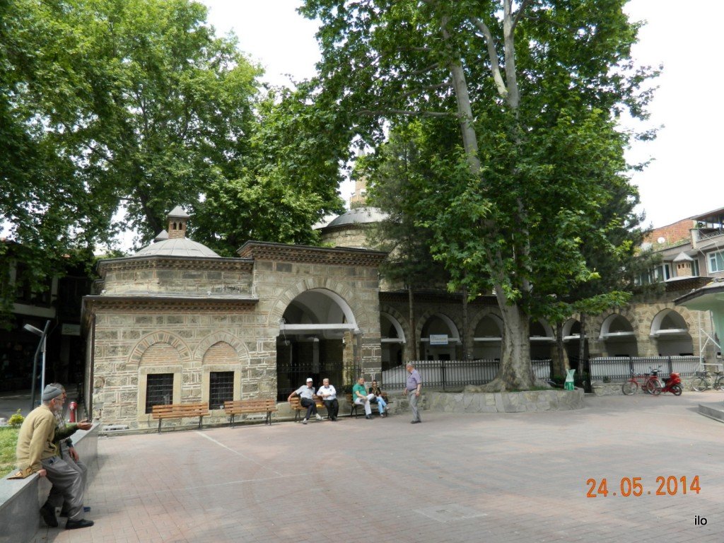 DSCN4238.JPG
