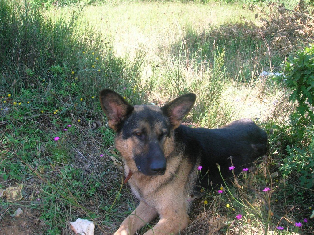 DSCN4455.jpg