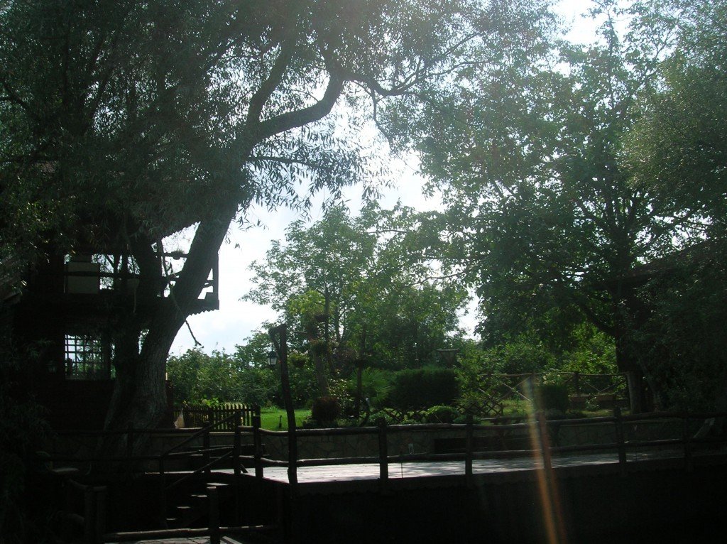 DSCN4599.jpg