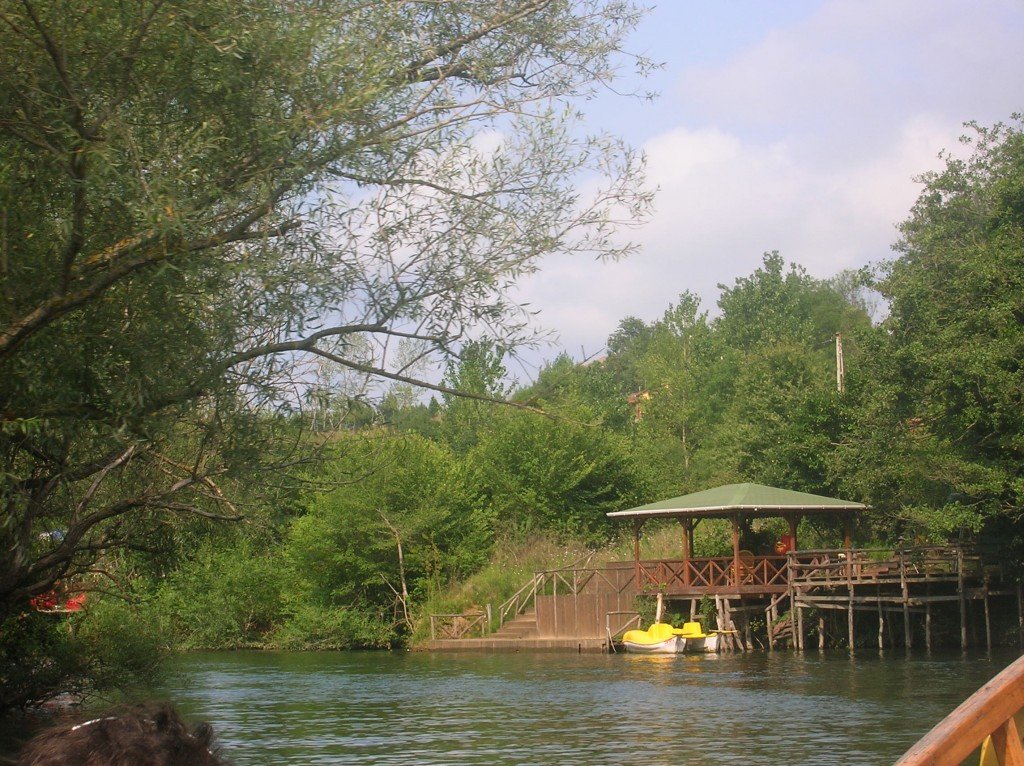 DSCN4606.jpg